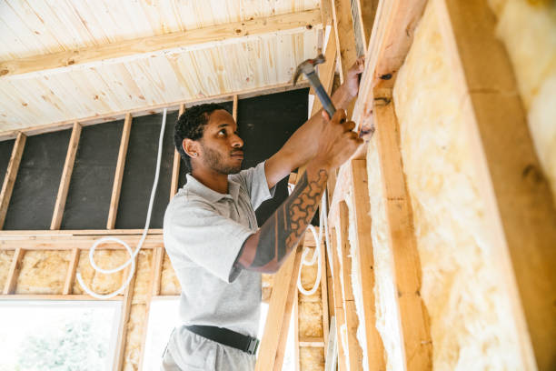 Best Spray Foam Insulation  in Forest Lake, IL